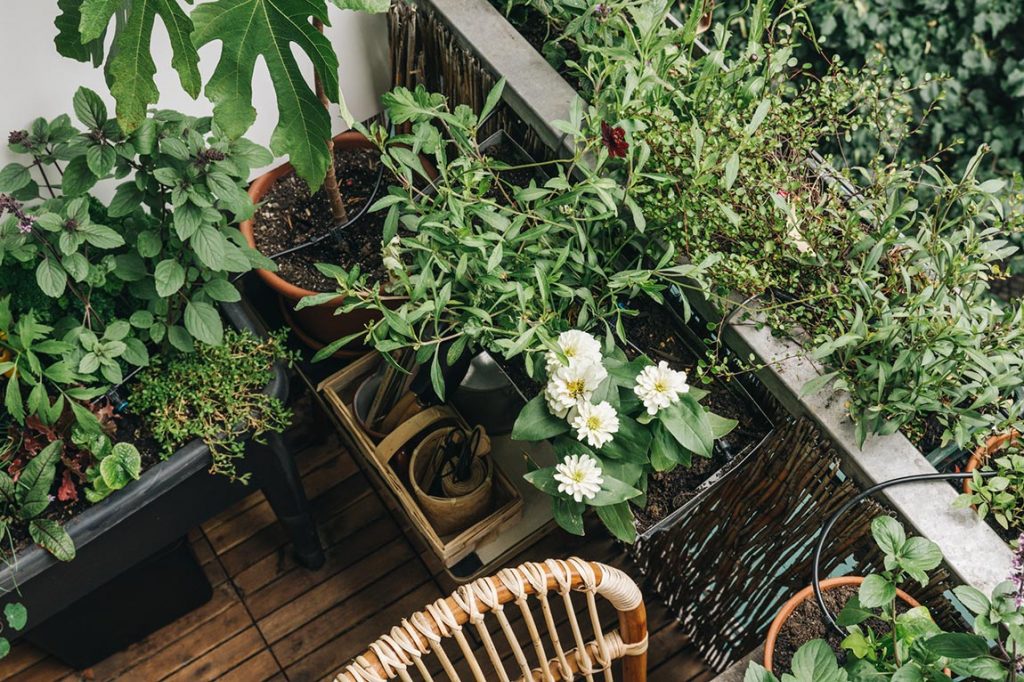 Der Balkon hat Urlaub Automatische Bewässerung mit dem GARDENA