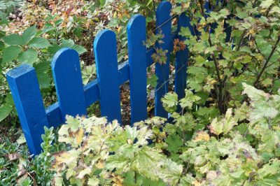 Wie Du Deinen Garten in Besitz nimmst - Kooperation mit ADLER Color