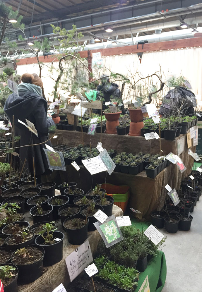 Bio Steuden und Sträucher auf der Gartenträume Berlin