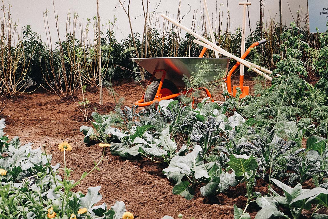 IGW Berlin Grüne Woche Blumenhalle Schubkarre